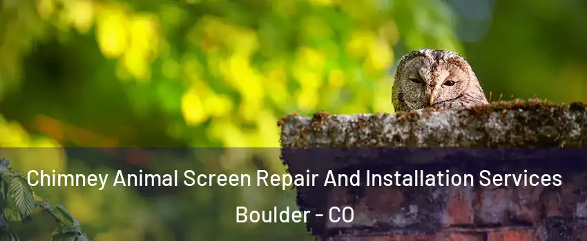  Chimney Animal Screen Repair And Installation Services Boulder - CO