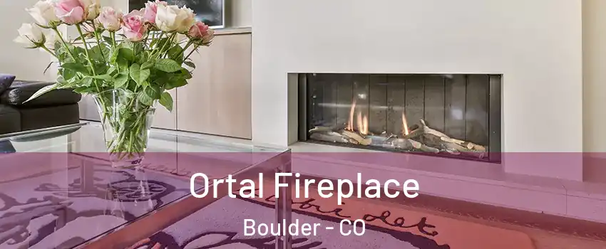  Ortal Fireplace Boulder - CO